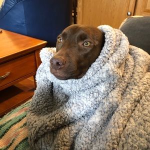 Meet your Posher, Alexandra